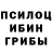 Псилоцибиновые грибы Psilocybine cubensis Jalgas Jenaly