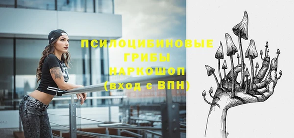 прущие грибы Саяногорск