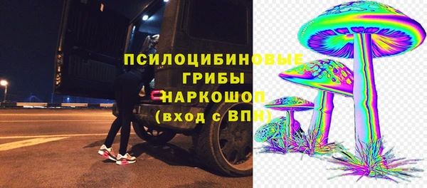 apvp Аркадак